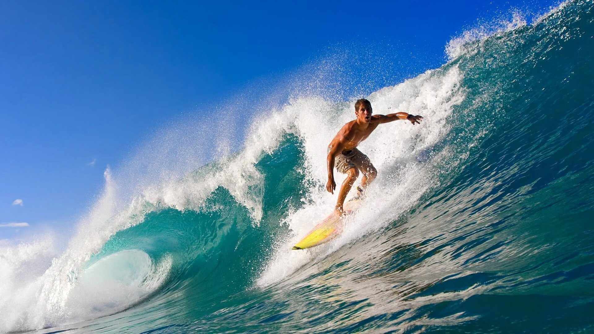 开云平台-北京首钢击败上海，将冠军梦想拉得更近，北京首钢目前战绩